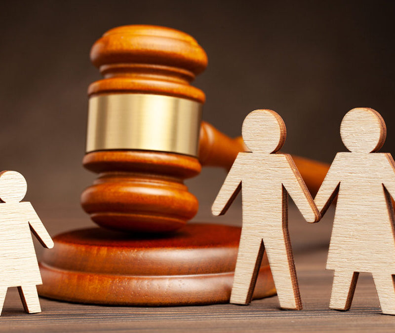 Judicial Guardianship