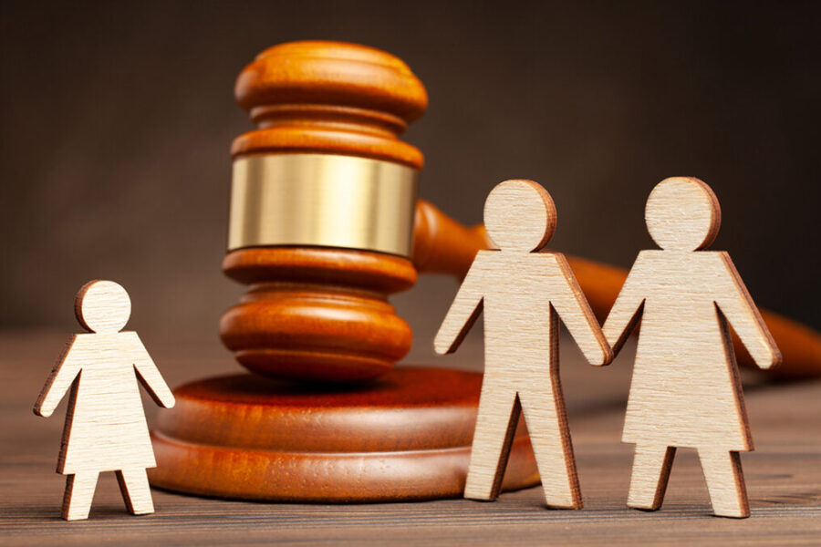Judicial Guardianship
